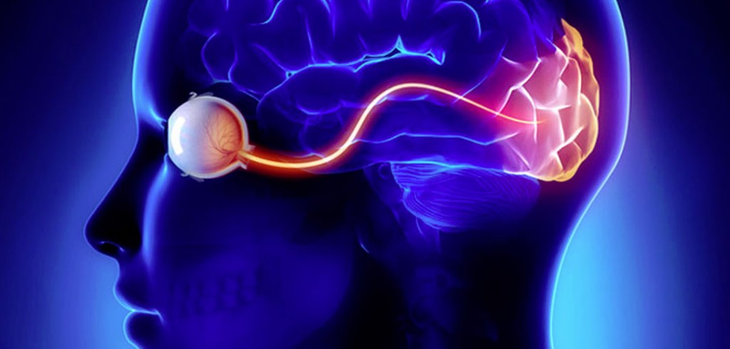 Implantes cerebrais – Eles podem fazer os cegos enxergarem?
