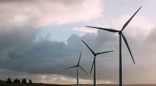 Noções básicas de energia eólica e seus impactos ambientais