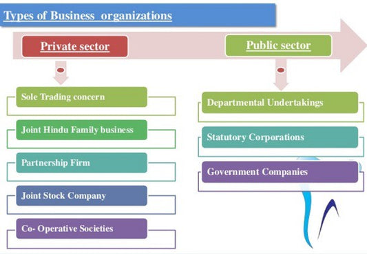 6 principais tipos de organizações empresariais |  prós e contras