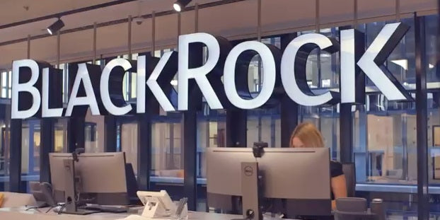 BlackRock Highlights Forces Shaping Low-Carbon Transition Investing Megatrend 