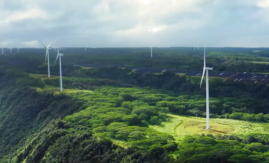 Brookfield levanta US$ 10 bilhões para o Fundo Climático em meio à “aceleração significativa nas oportunidades de transição em todo o mundo” - Compraco Distribuidor e Fabricante de Aços