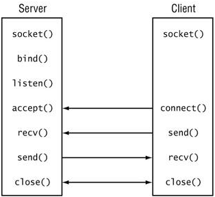 Comunicação entre servidores-clientes através de programação de soquetes usando TCP/IP