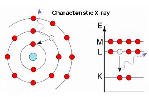 EDS exposto: explorando a estrutura e os usos da espectroscopia de raios X