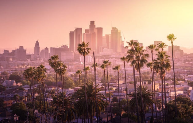 Los Ángeles prohíbe el gas natural en nuevos edificios residenciales y comerciales: cómo pasar a ser totalmente eléctrico 