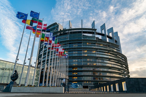 Legisladores de la UE aprueban sanciones que incluyen prisión y multas por delitos medioambientales 