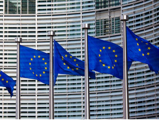 Los legisladores de la UE acuerdan establecer un sistema de certificación de eliminación de carbono 