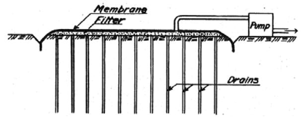 Soil improvements (what and how) 