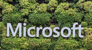 Microsoft assina acordo para remover 350 mil toneladas de carbono por meio de sistemas agroflorestais
