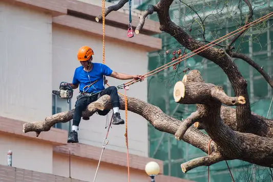 Padrões de construção OSHA: garantindo a segurança