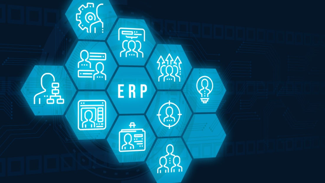 Personalizando software ERP: prós e contras