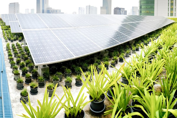 Green Certification Systems for Buildings 