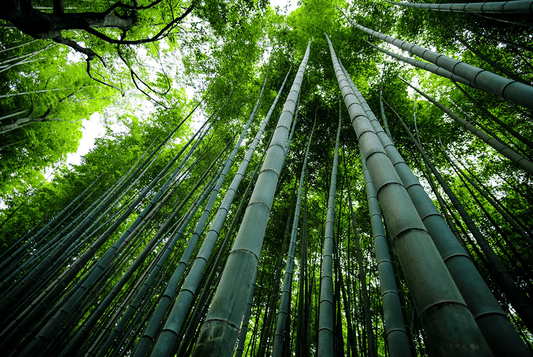 Guia para materiais de construção sustentáveis