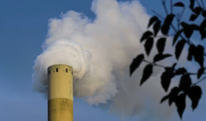 EU outlines strategy to massively increase carbon capture to meet climate goals 