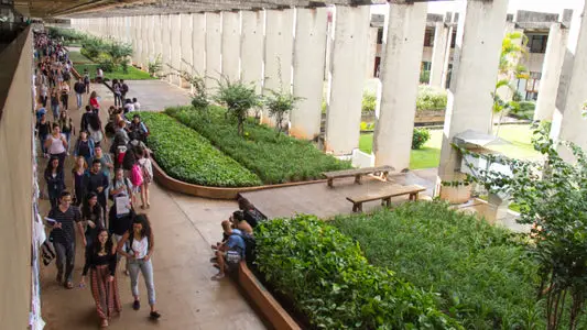 Instituições federais de ensino entram em greve