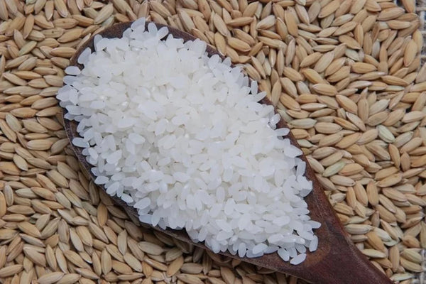 Racionamento de arroz pode causar aumento de preços em São Paulo