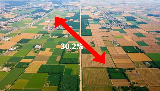 Crédito Rural - Queda de 30,4% no desembolso em São Paulo no início da Safra 2024/2025