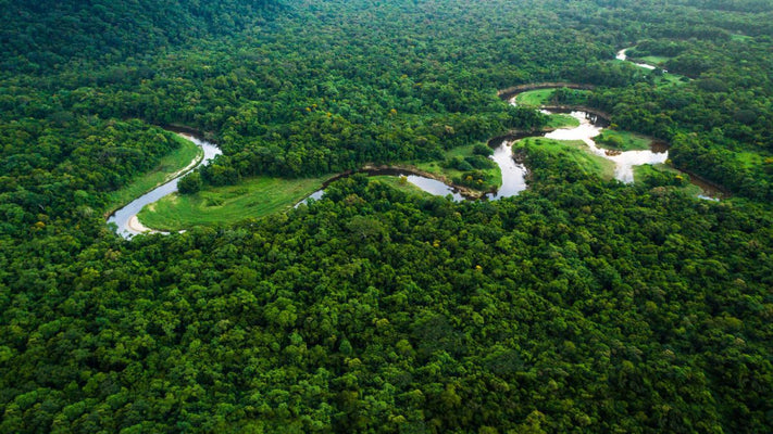 Fondo Amazonía: Municipios pueden presentar proyectos 